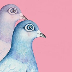 Zwei Tauben für Aschenputtel